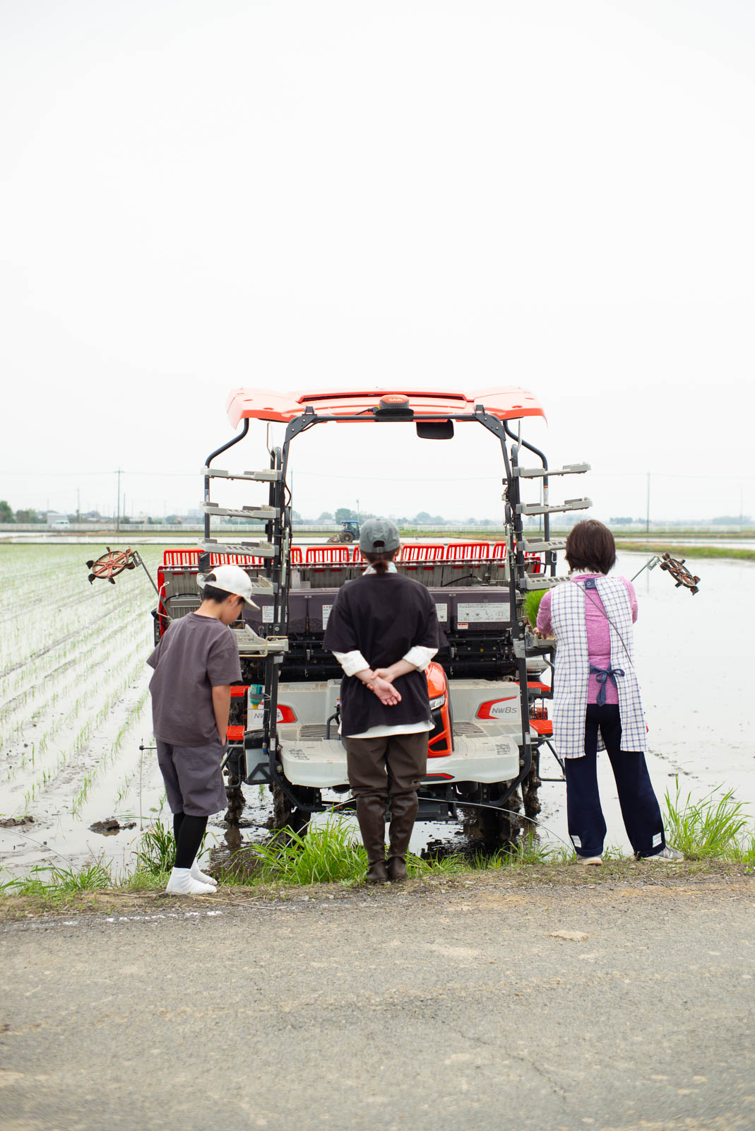 田植え