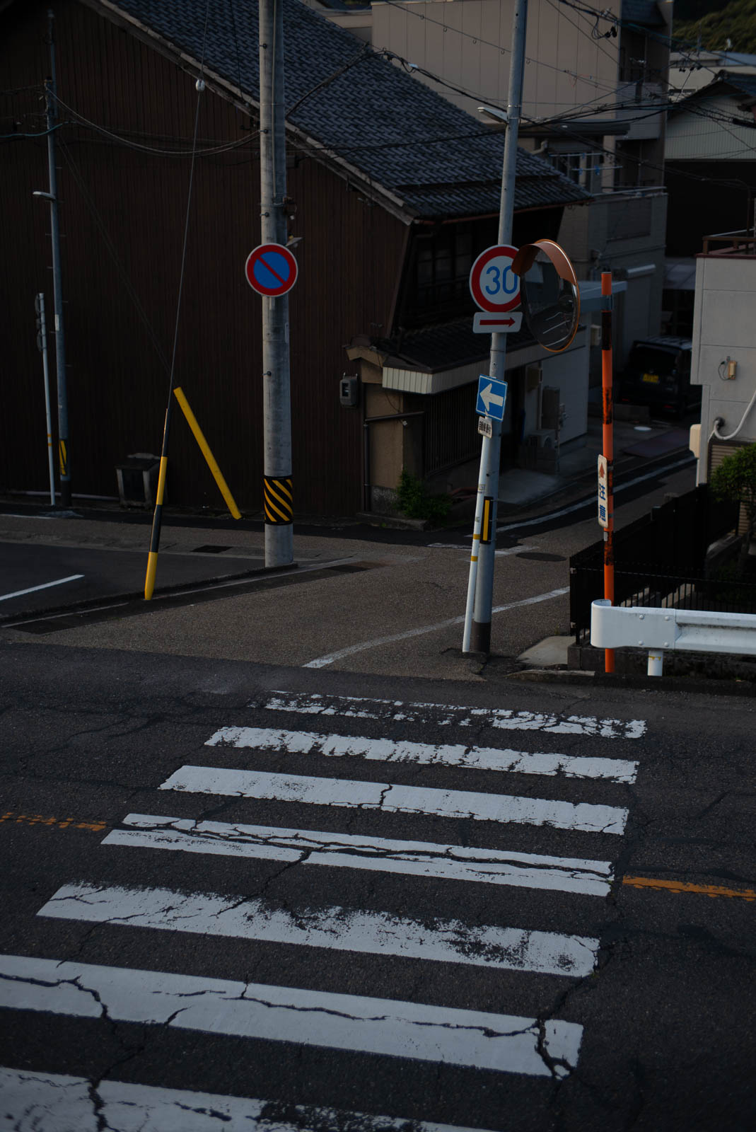 朝の散歩