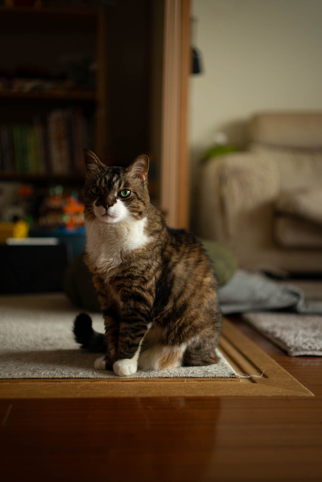 キメ顔