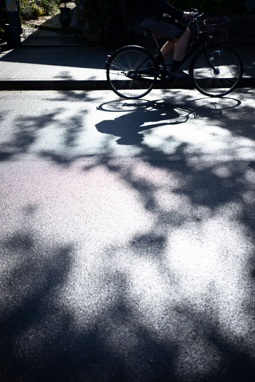 木漏れ日と自転車