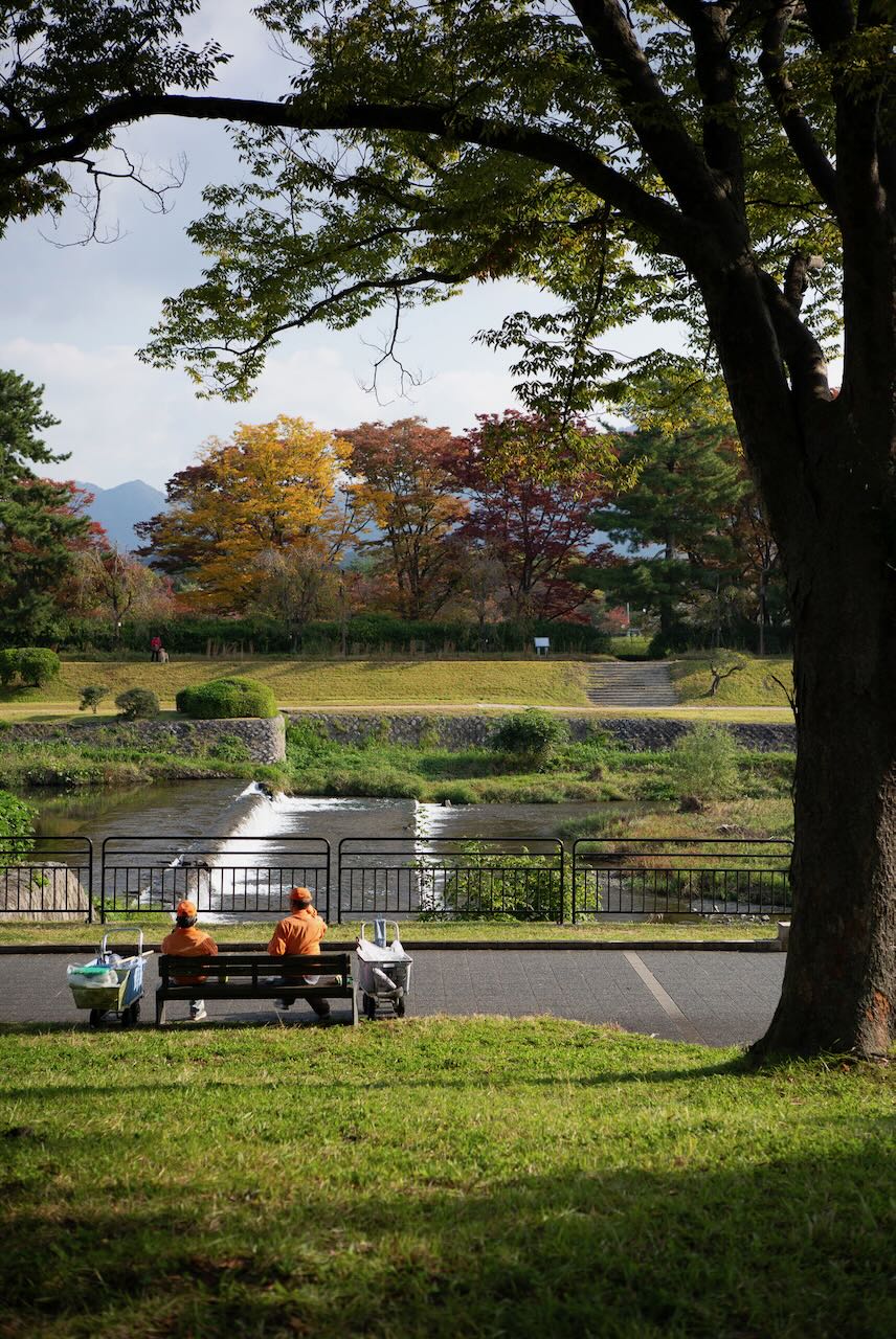 賀茂川 朝のひととき